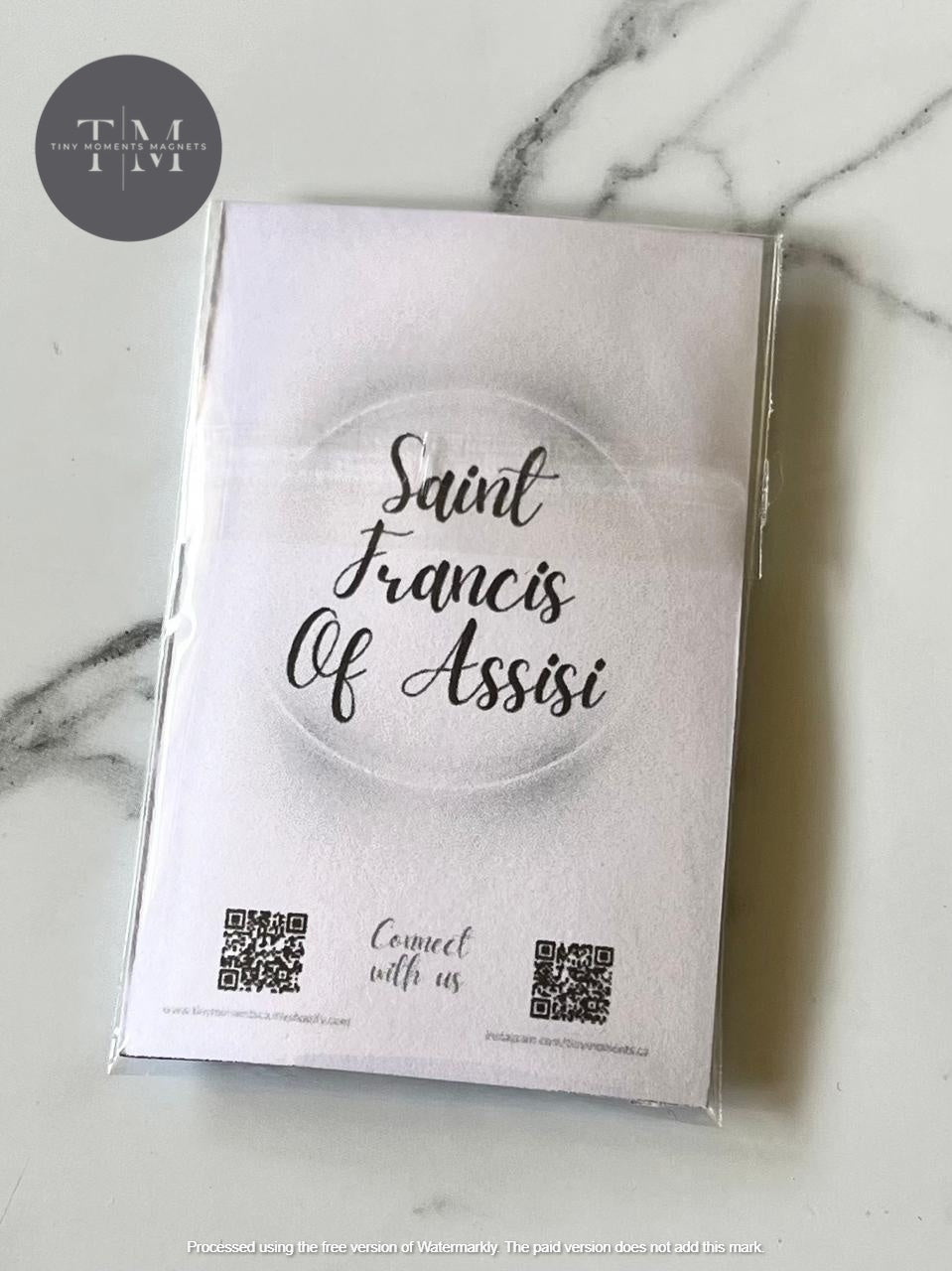 Saint Francis of Assisi