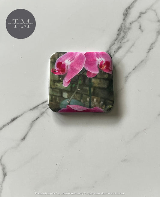 Pink Flower