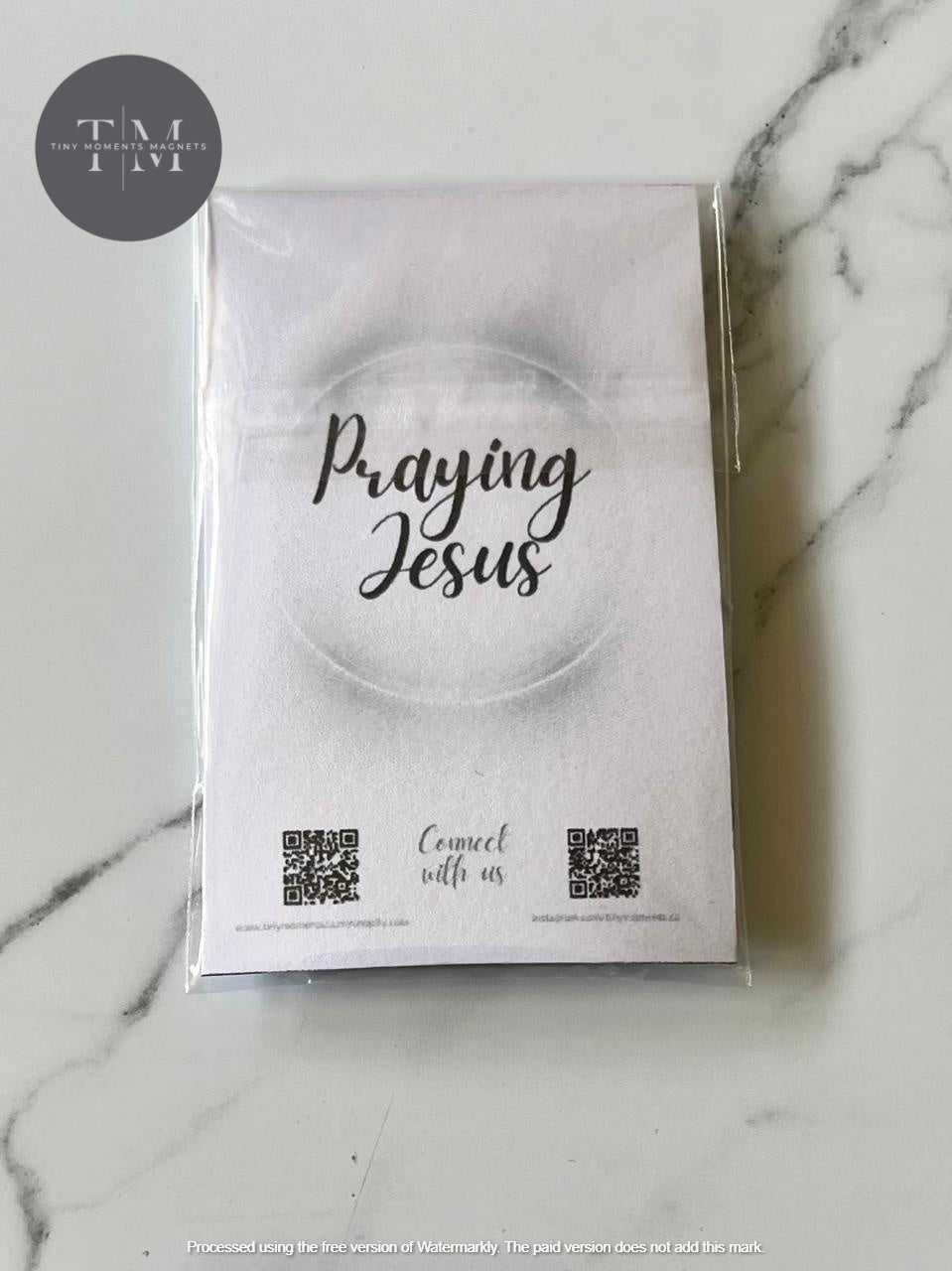 Praying Jesus