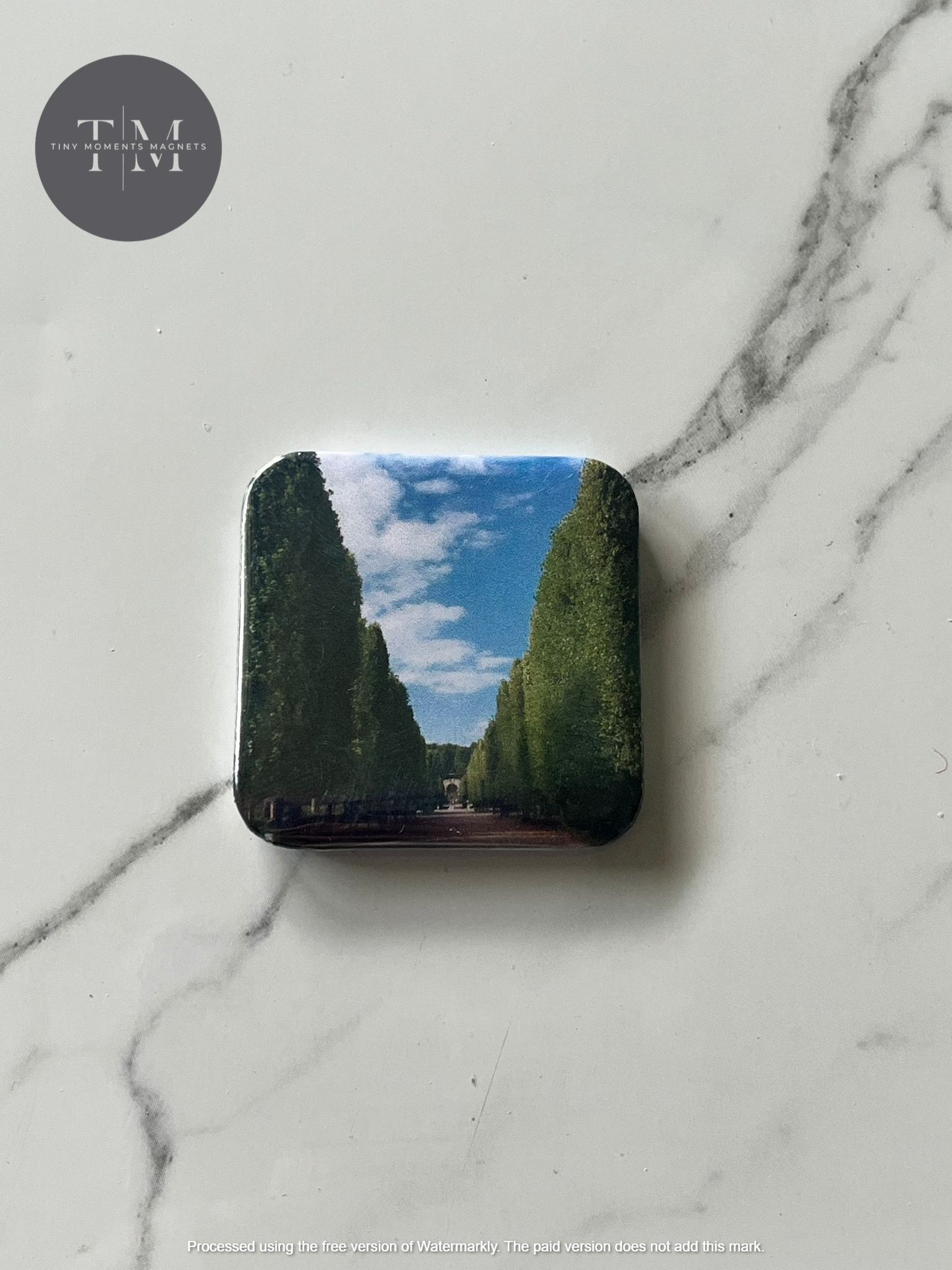Trees runway